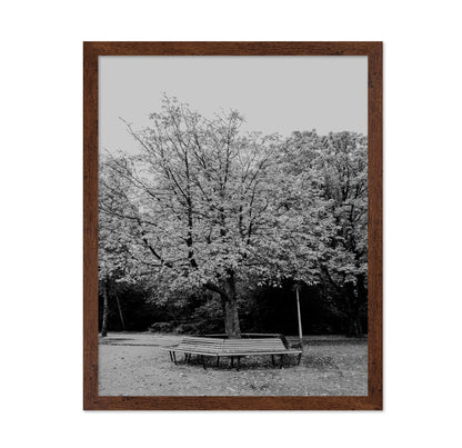 Vondel Park Amsterdam