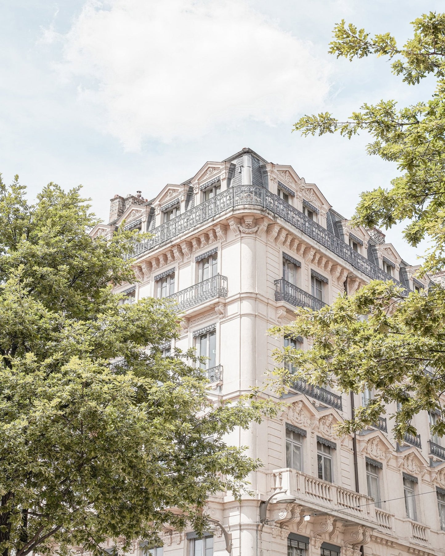 Parisian Elegance