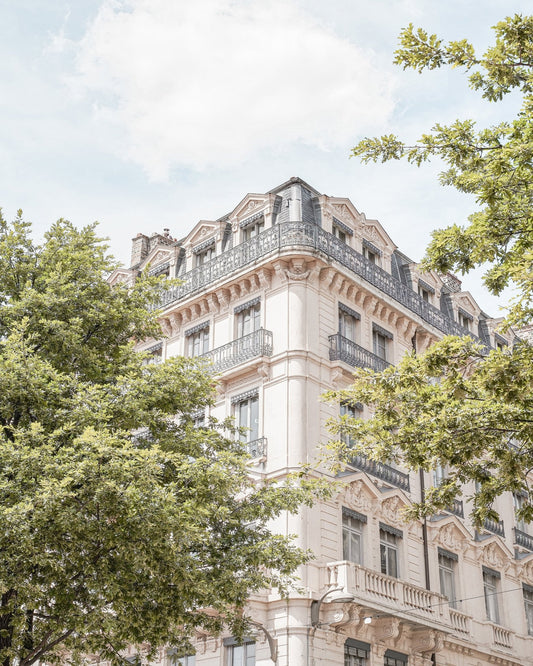 Parisian Elegance