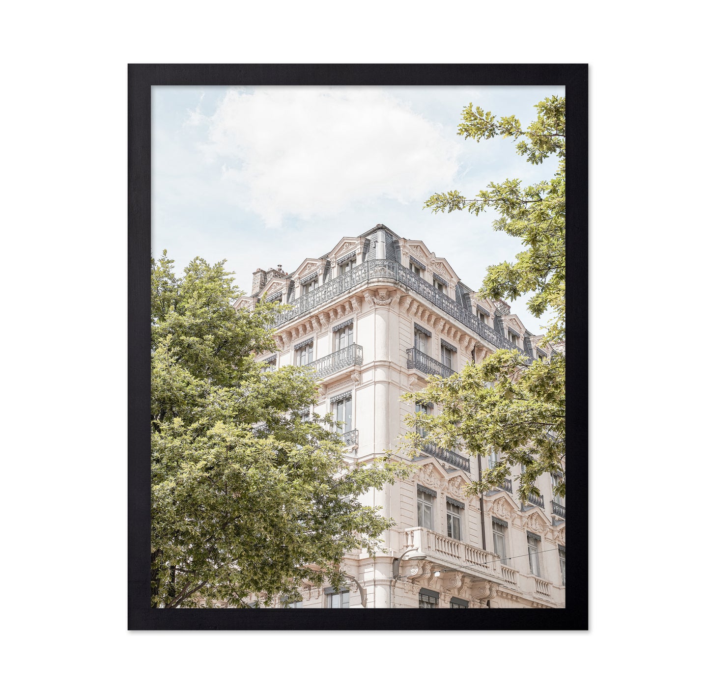 Parisian Elegance