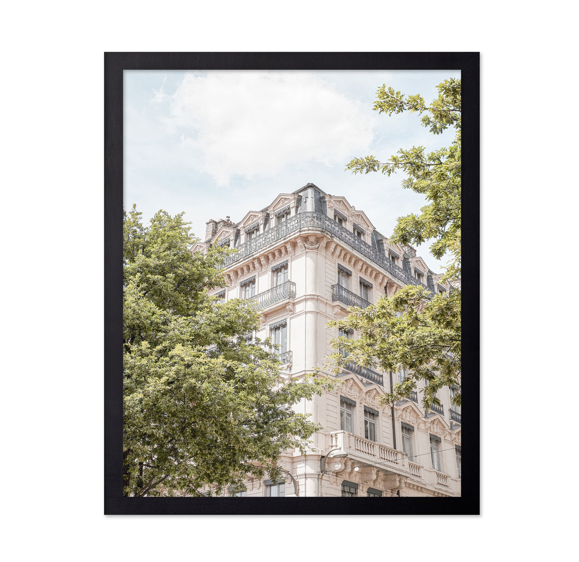 Parisian Elegance