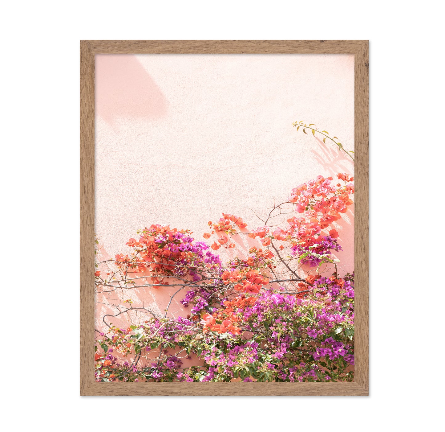 Pink Summer
