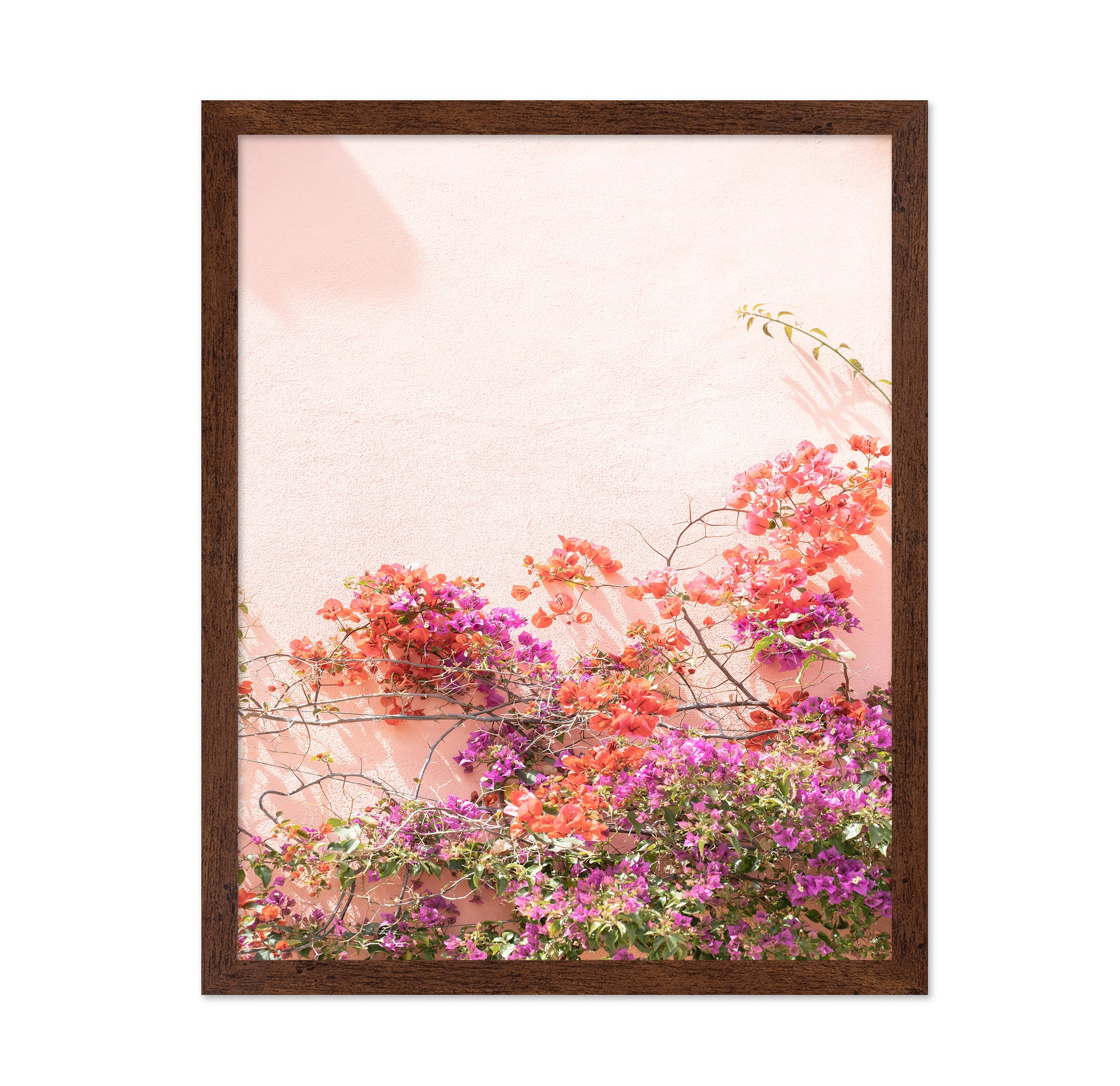 Pink Summer