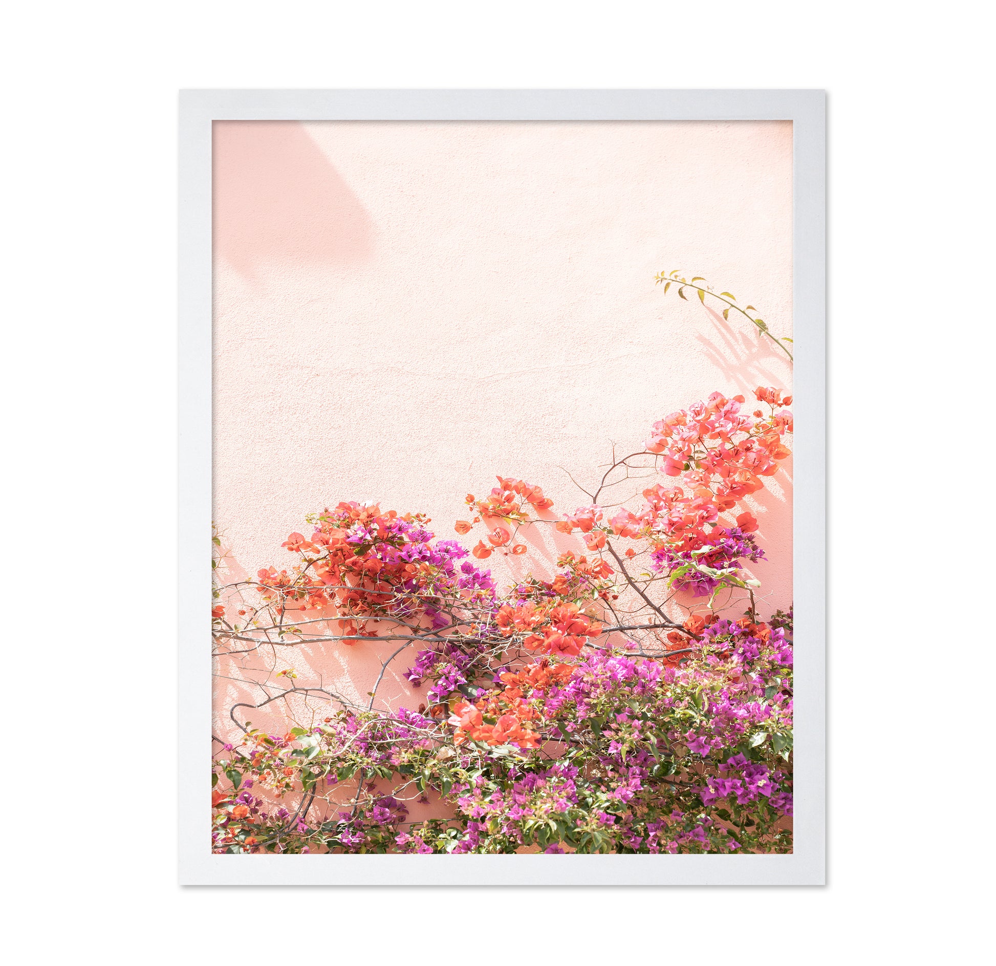 Pink Summer