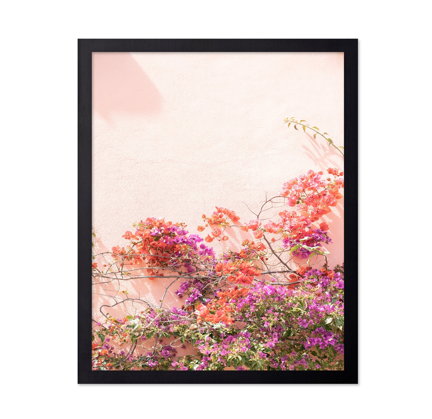Pink Summer