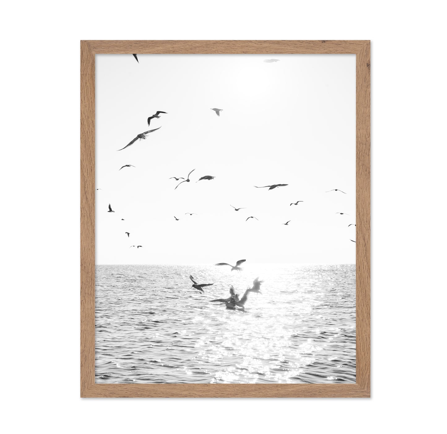 Seagulls At Sea