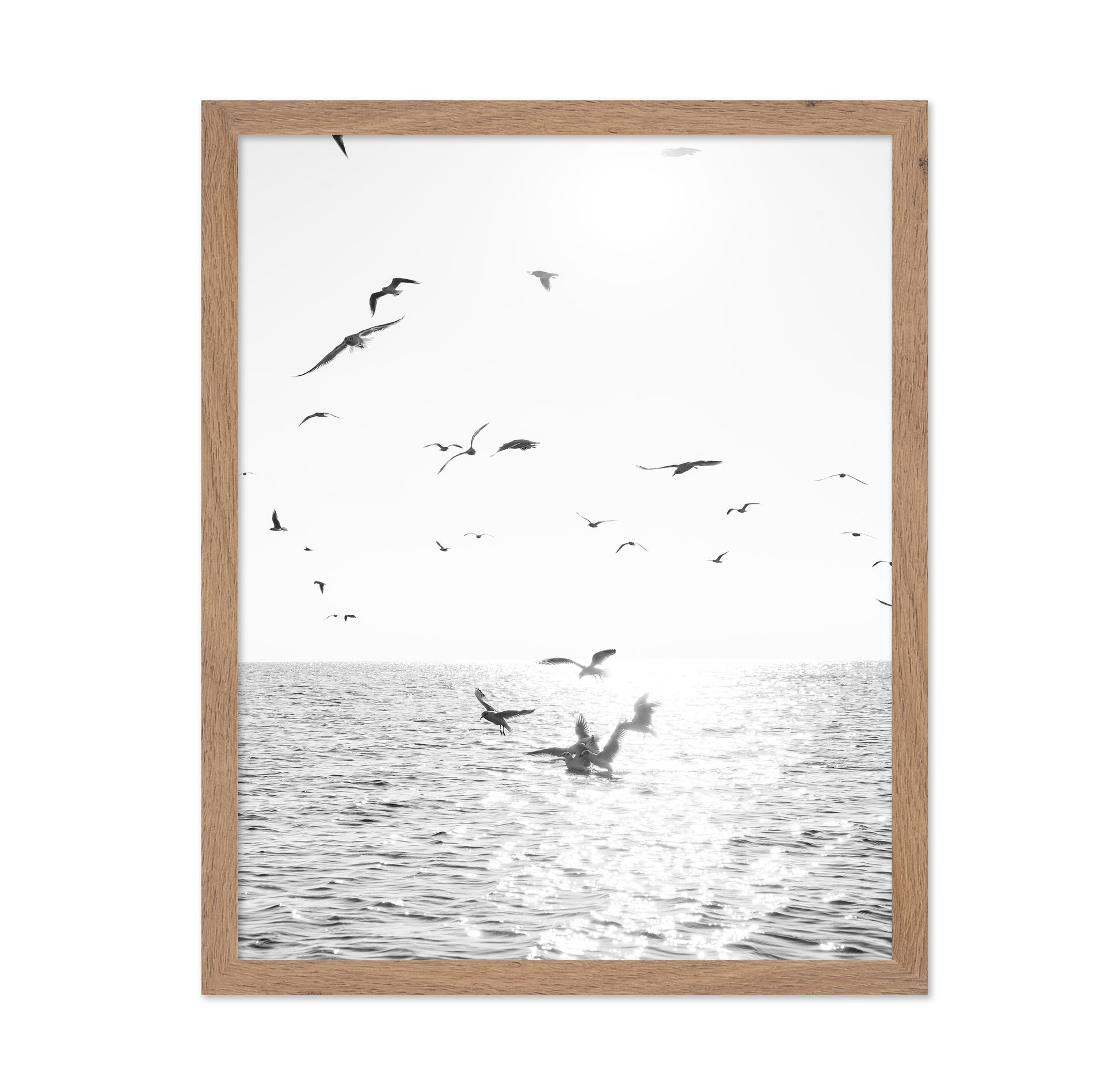 Seagulls At Sea