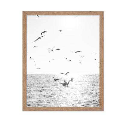 Seagulls At Sea