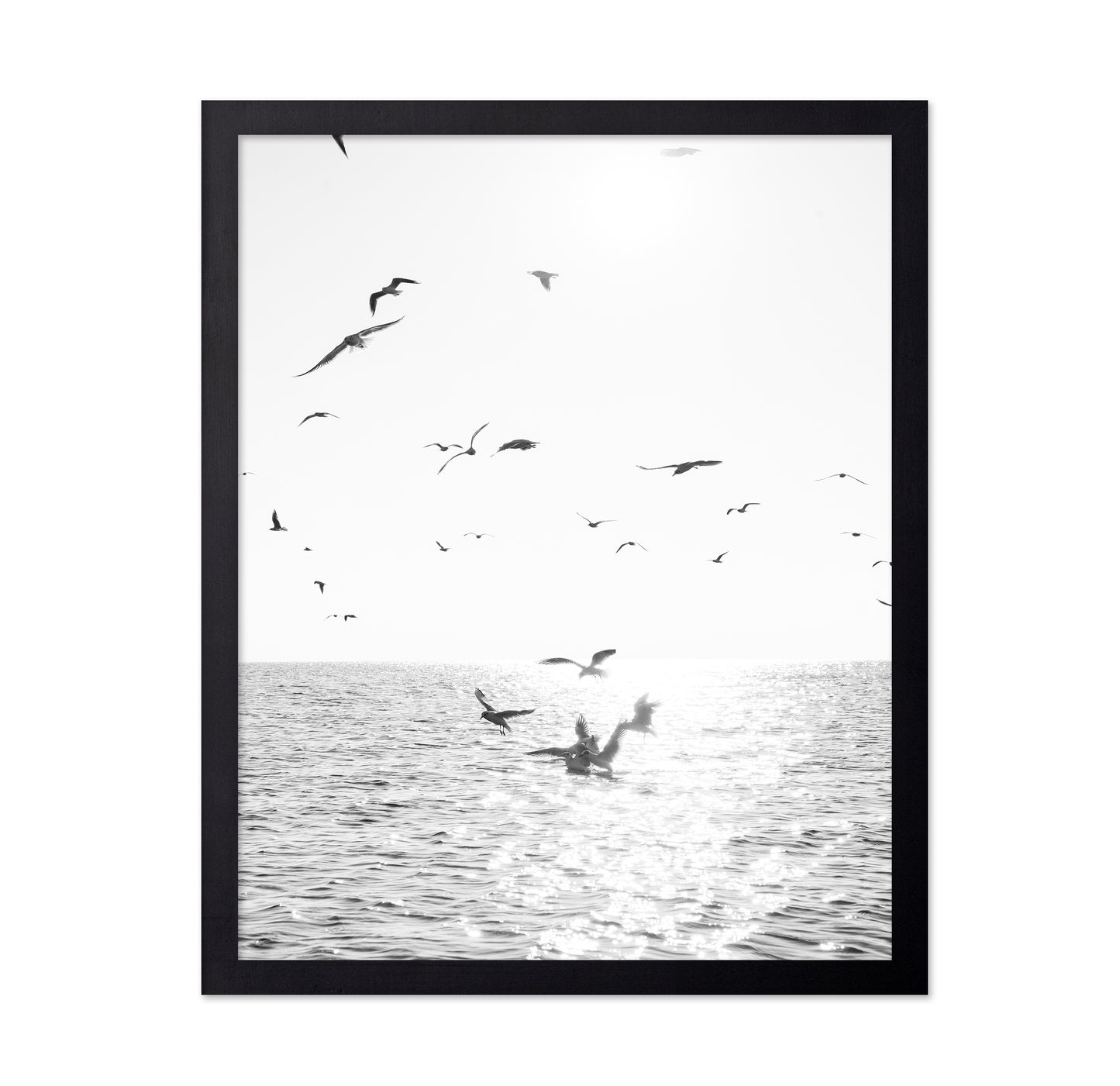 Seagulls At Sea