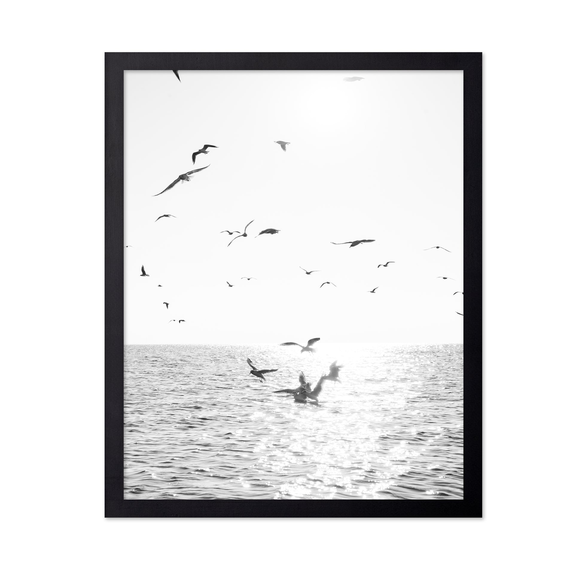 Seagulls At Sea