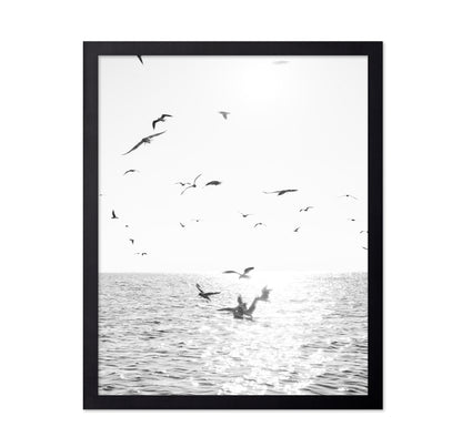 Seagulls At Sea
