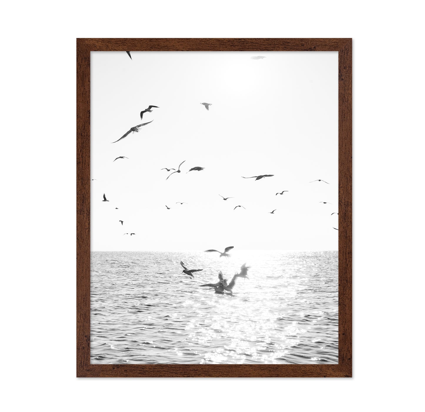 Seagulls At Sea