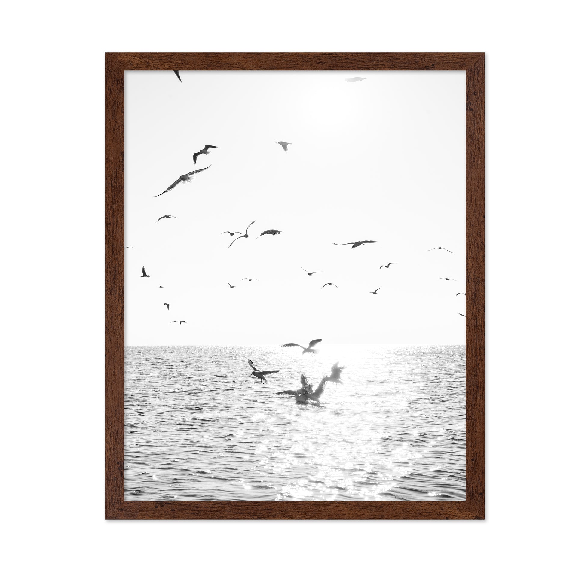 Seagulls At Sea