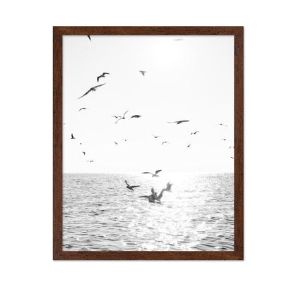 Seagulls At Sea
