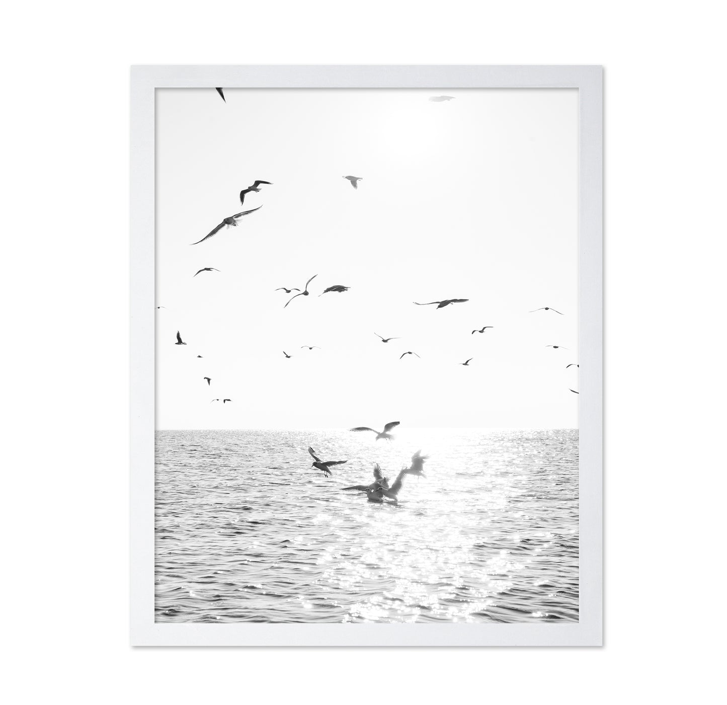Seagulls At Sea