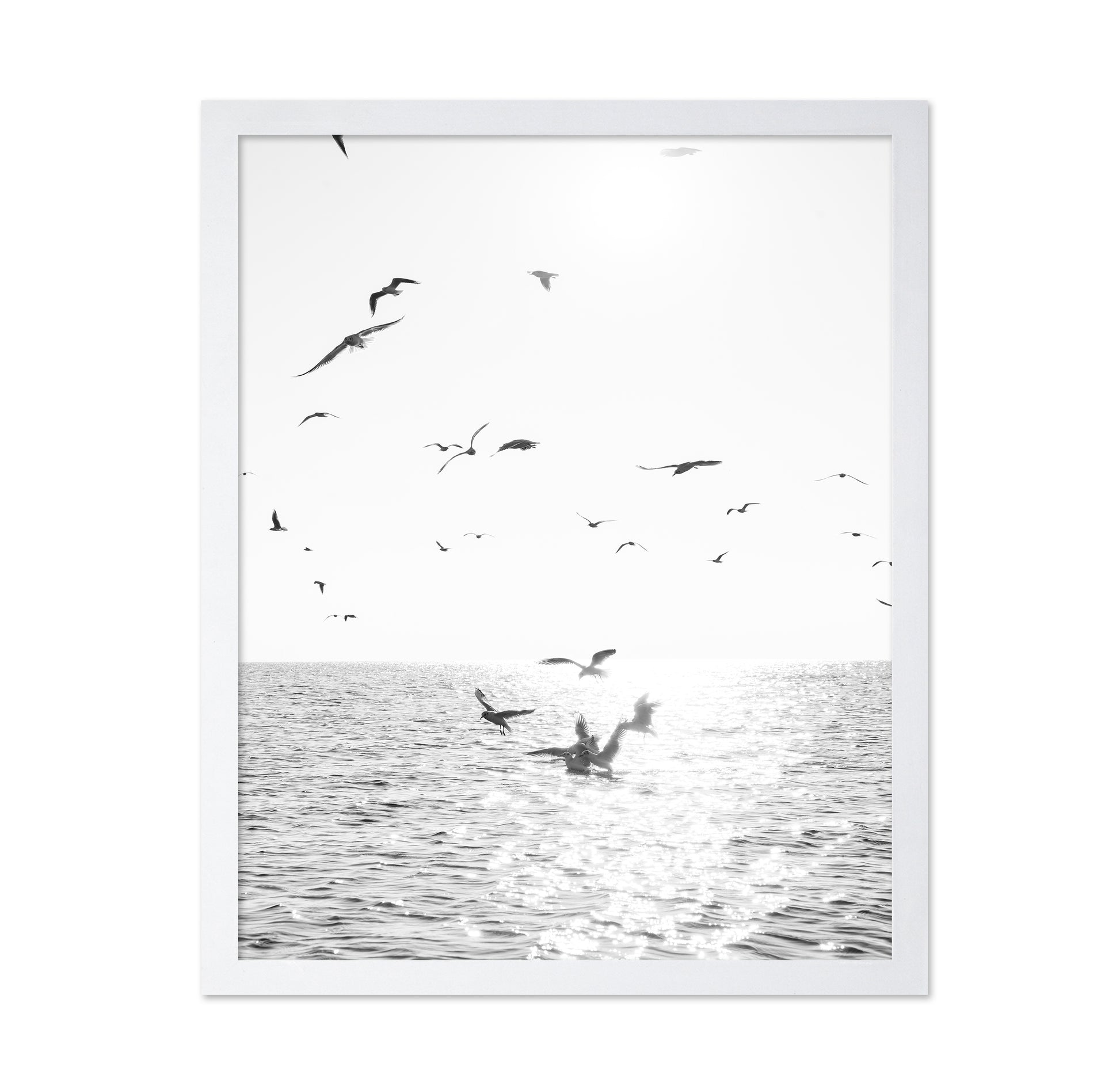 Seagulls At Sea