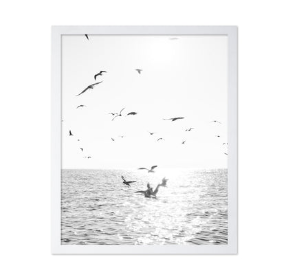 Seagulls At Sea