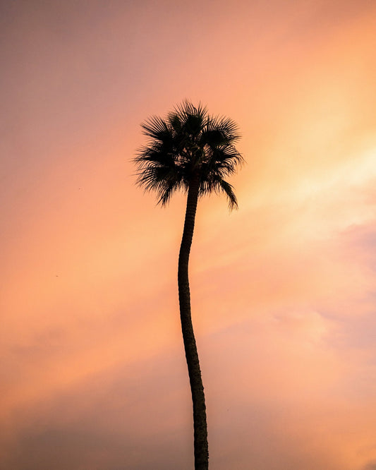 Sunset Solitude