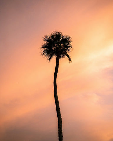 Sunset Solitude