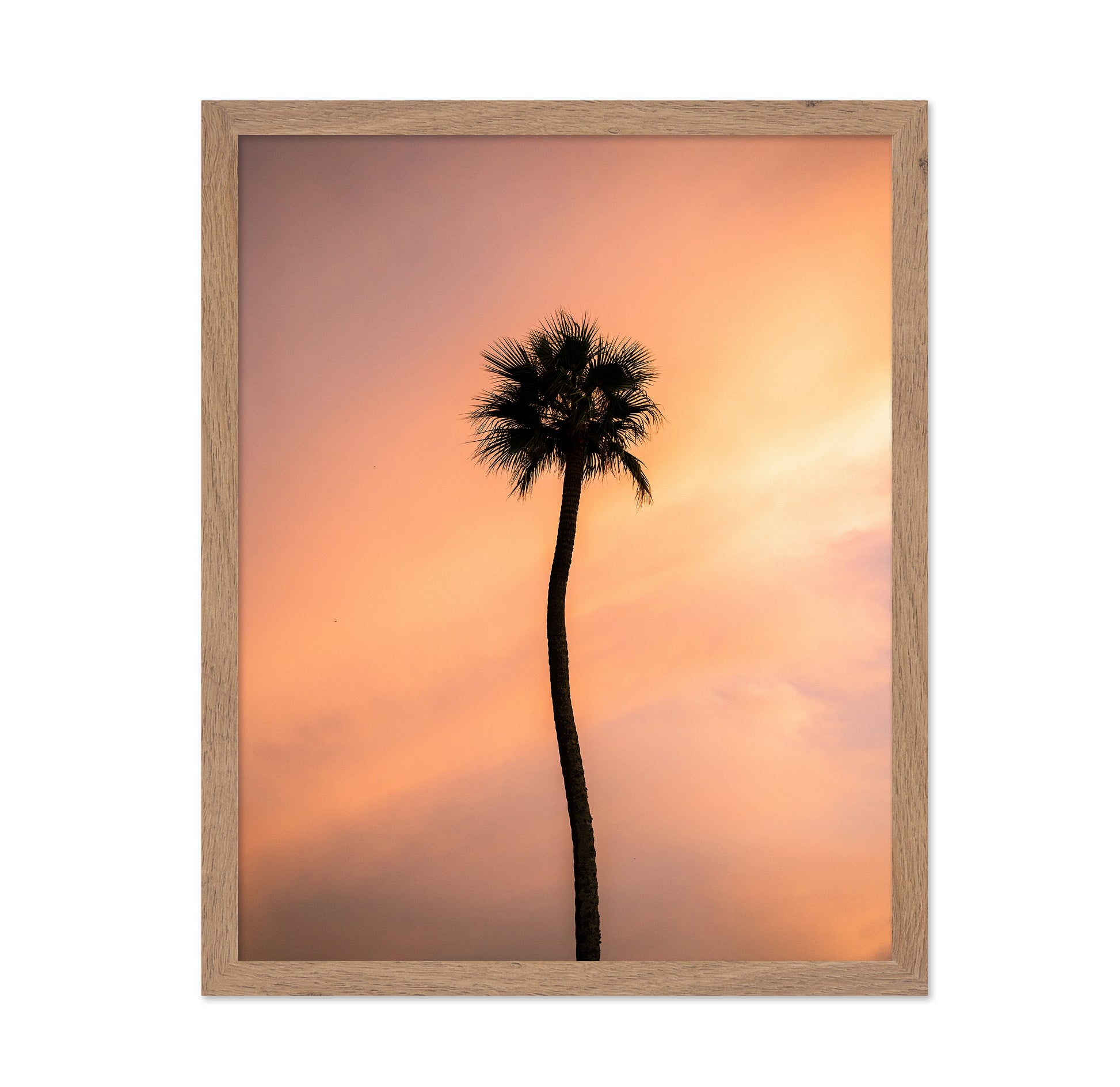 Sunset Solitude