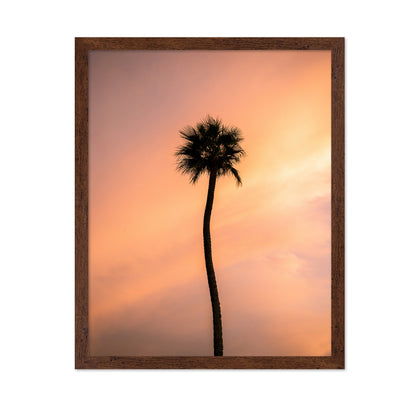 Sunset Solitude