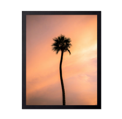 Sunset Solitude