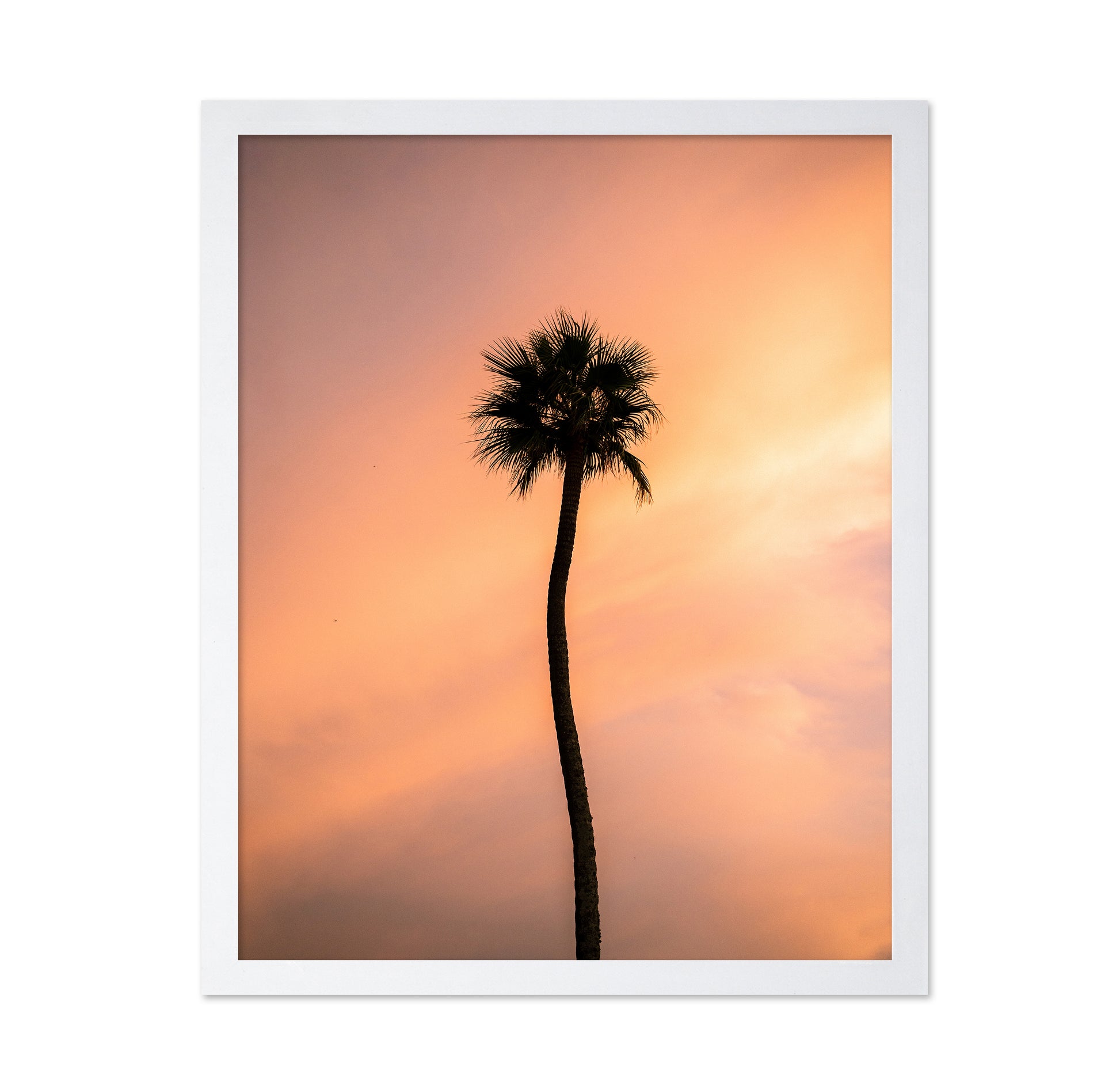 Sunset Solitude