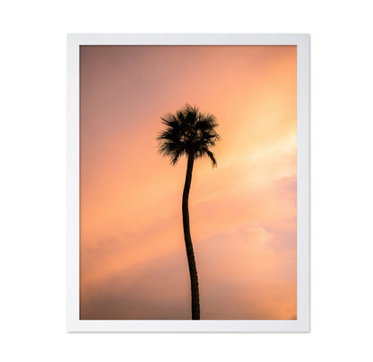 Sunset Solitude