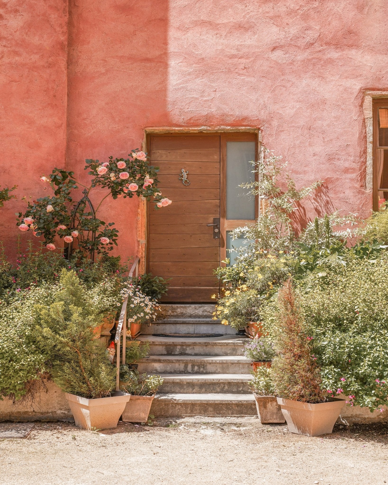 The Pink House