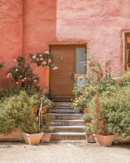 The Pink House