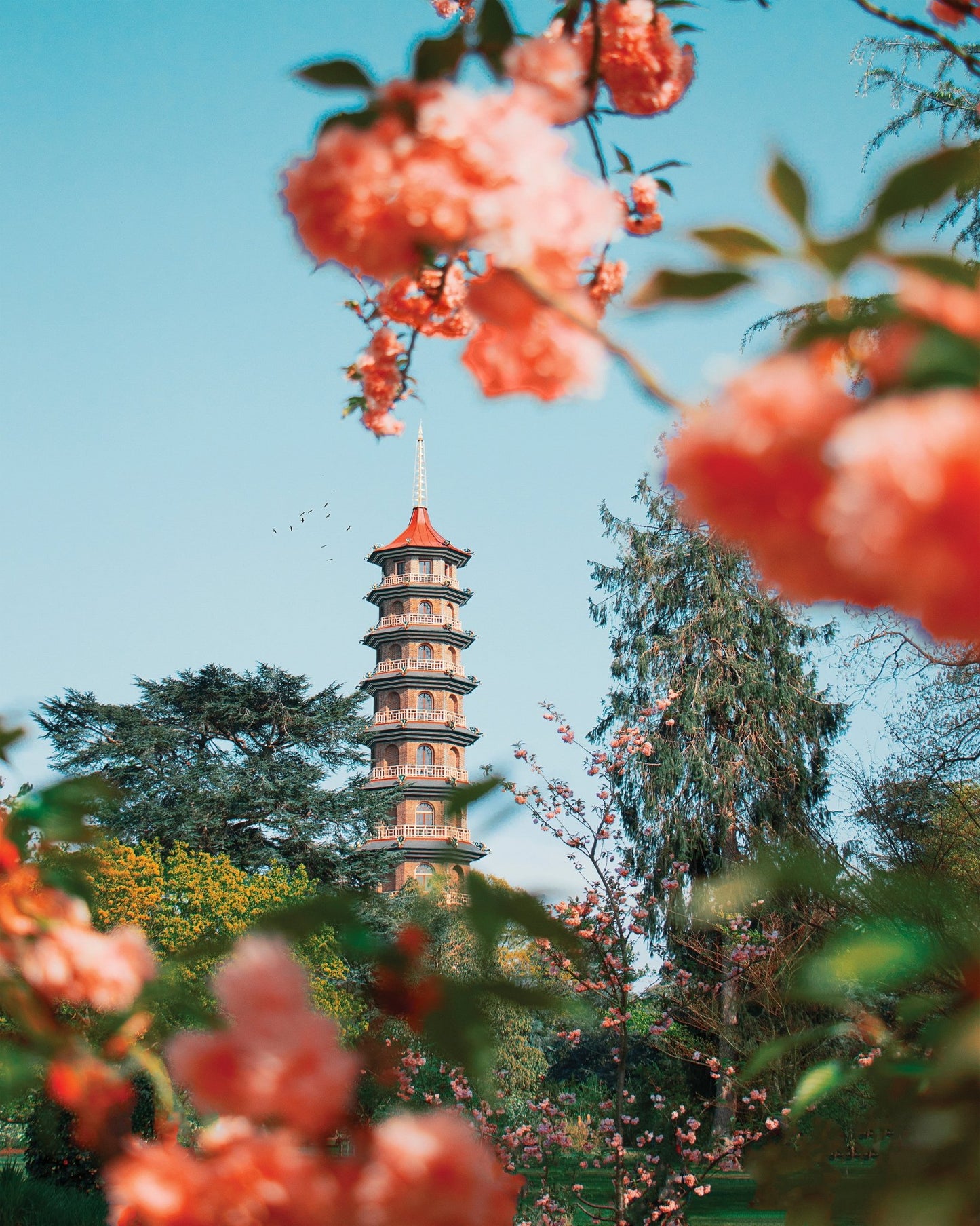 Kew Garden