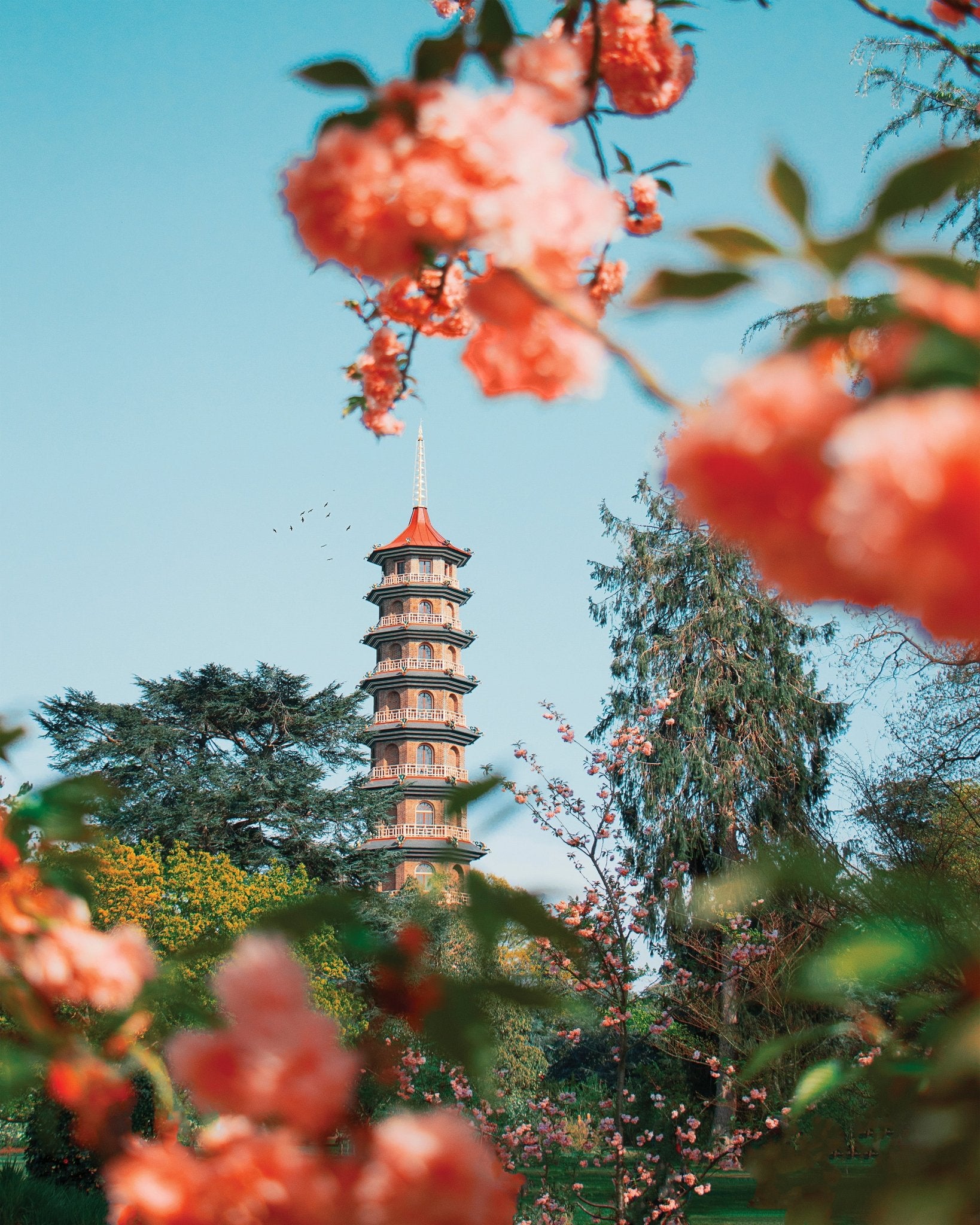 Kew Garden