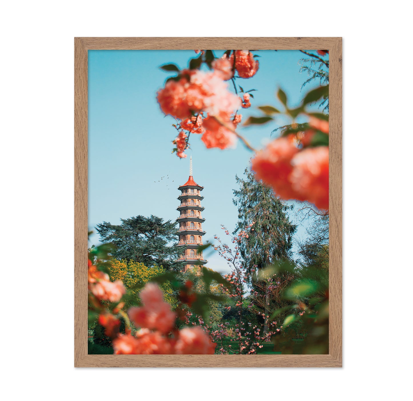 Kew Garden