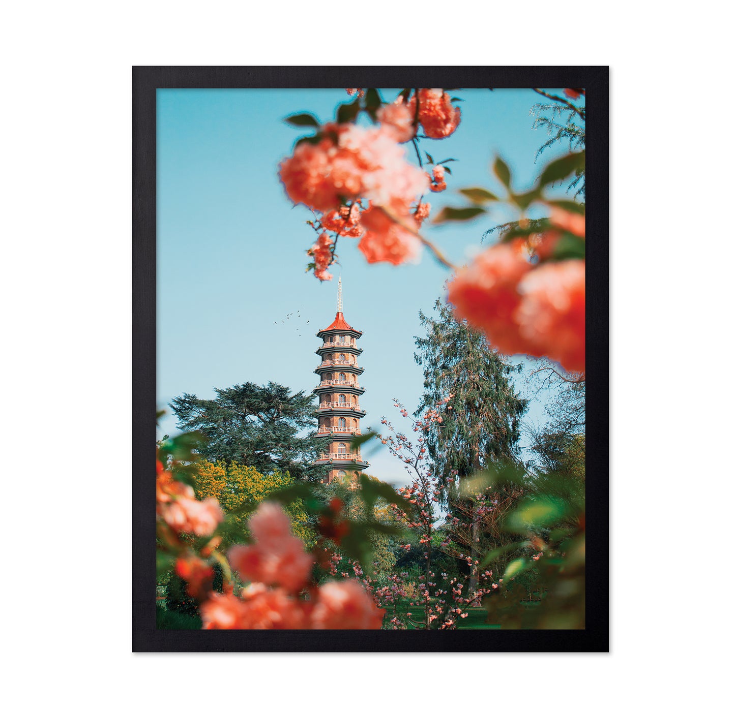 Kew Garden