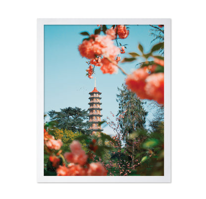 Kew Garden