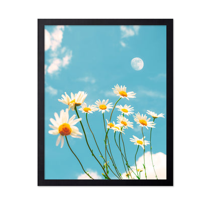 Magical Daisies