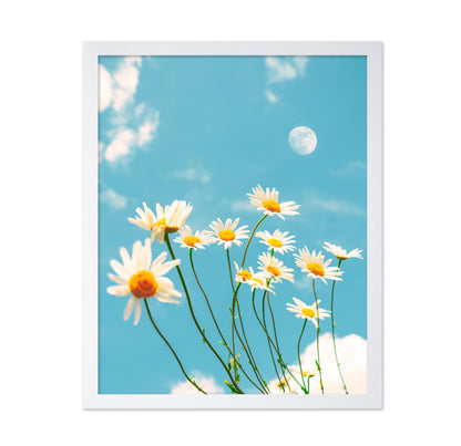 Magical Daisies