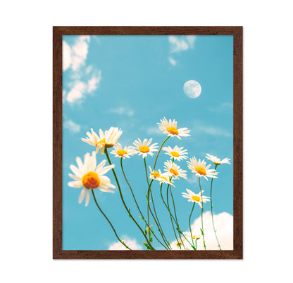 Magical Daisies