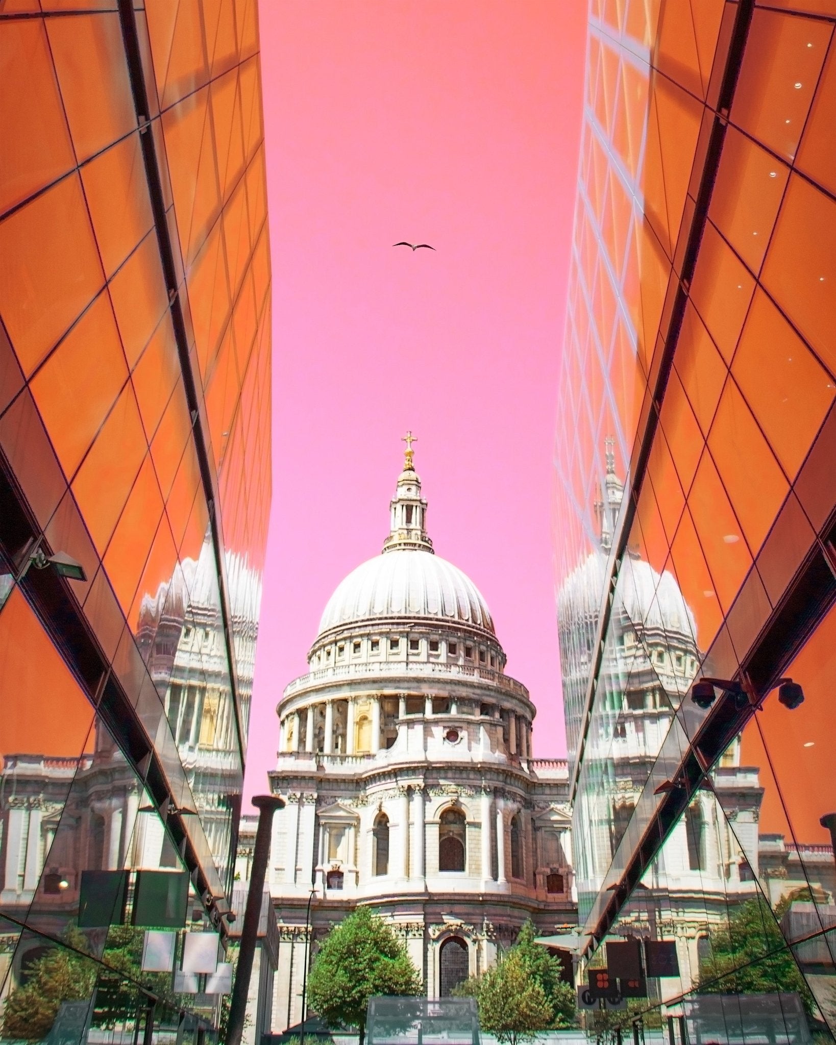 St Pauls View