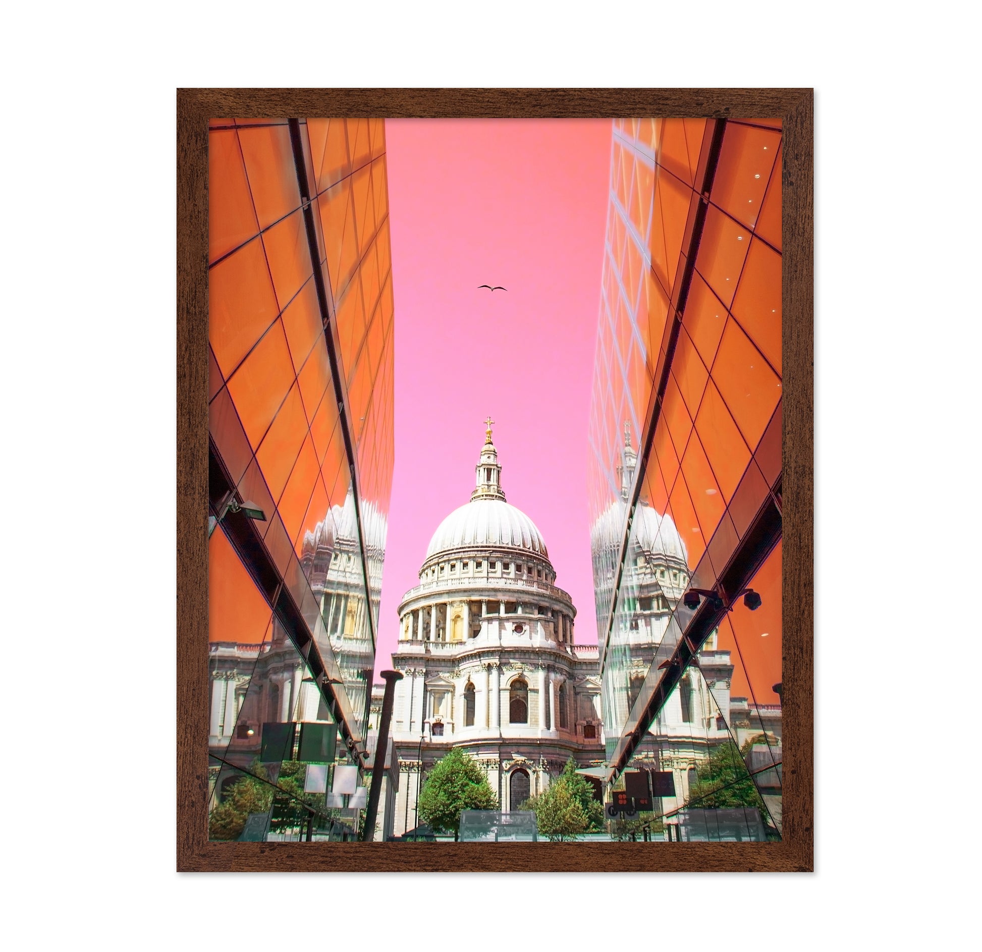 St Pauls View