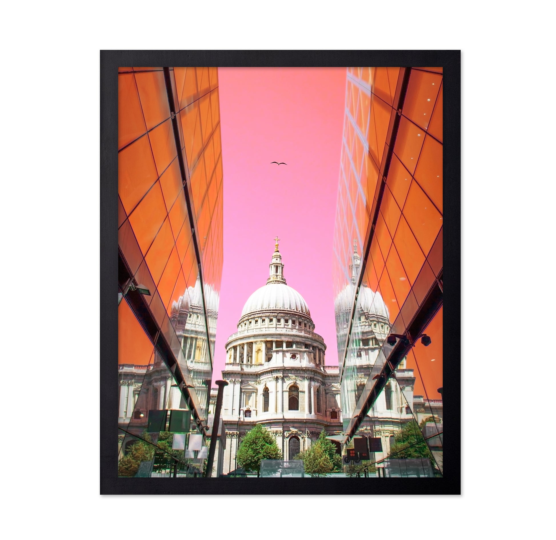 St Pauls View