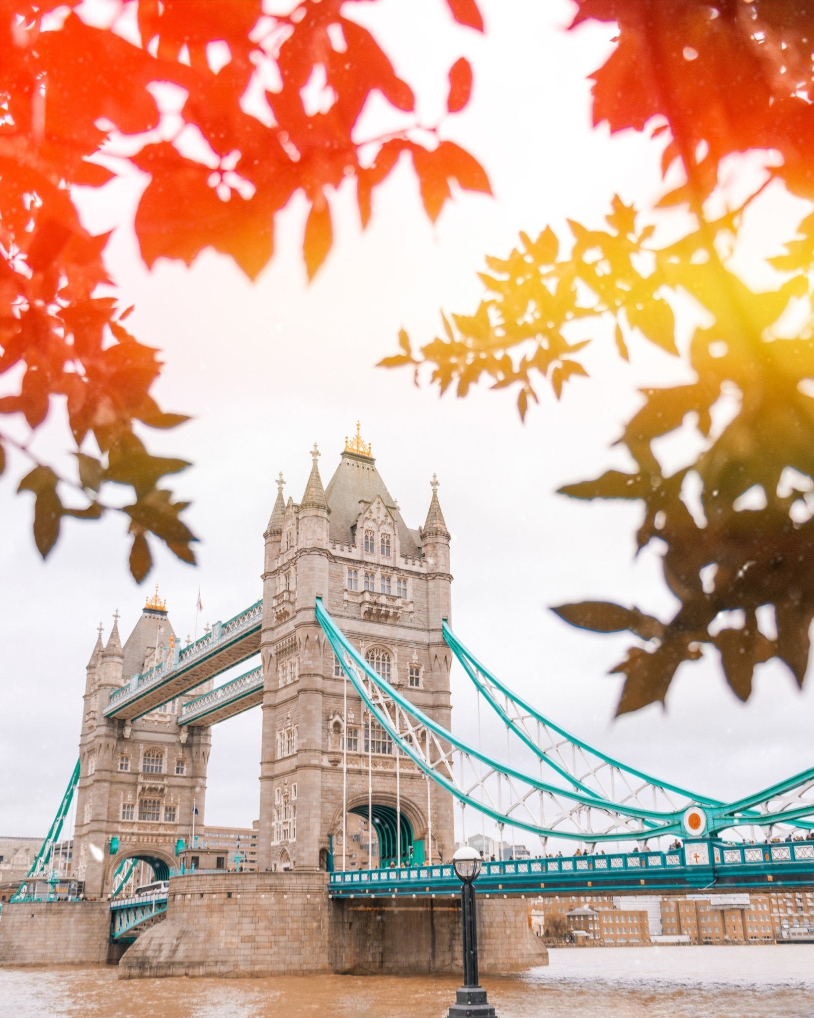Tower Bridge View