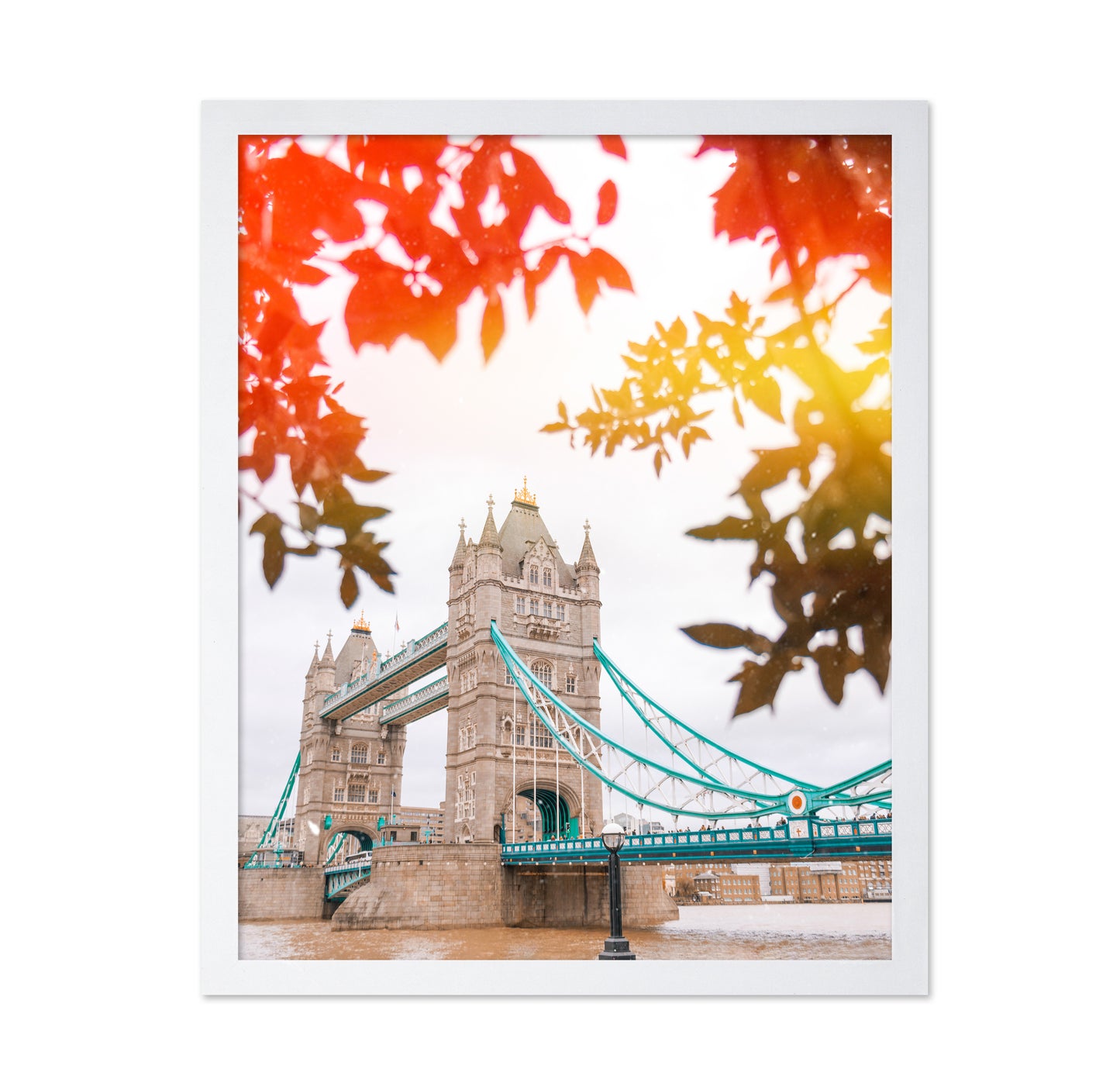 Tower Bridge View