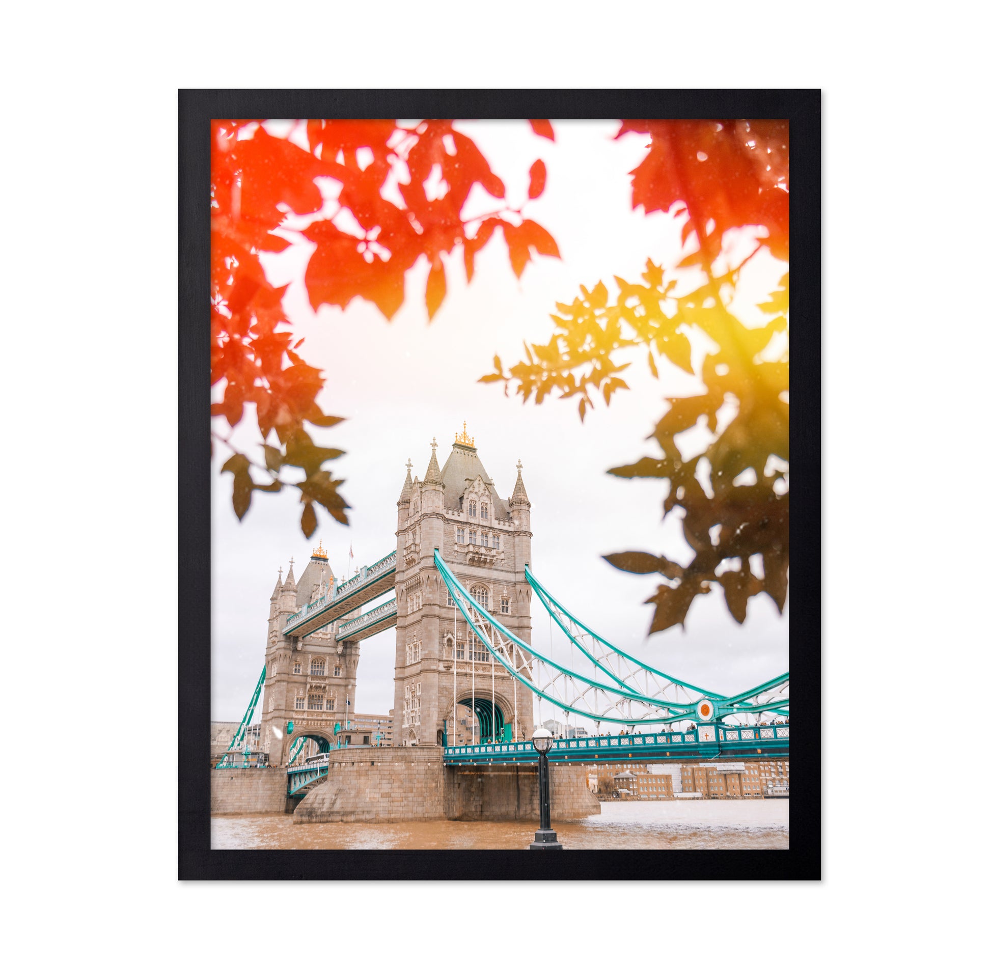 Tower Bridge View