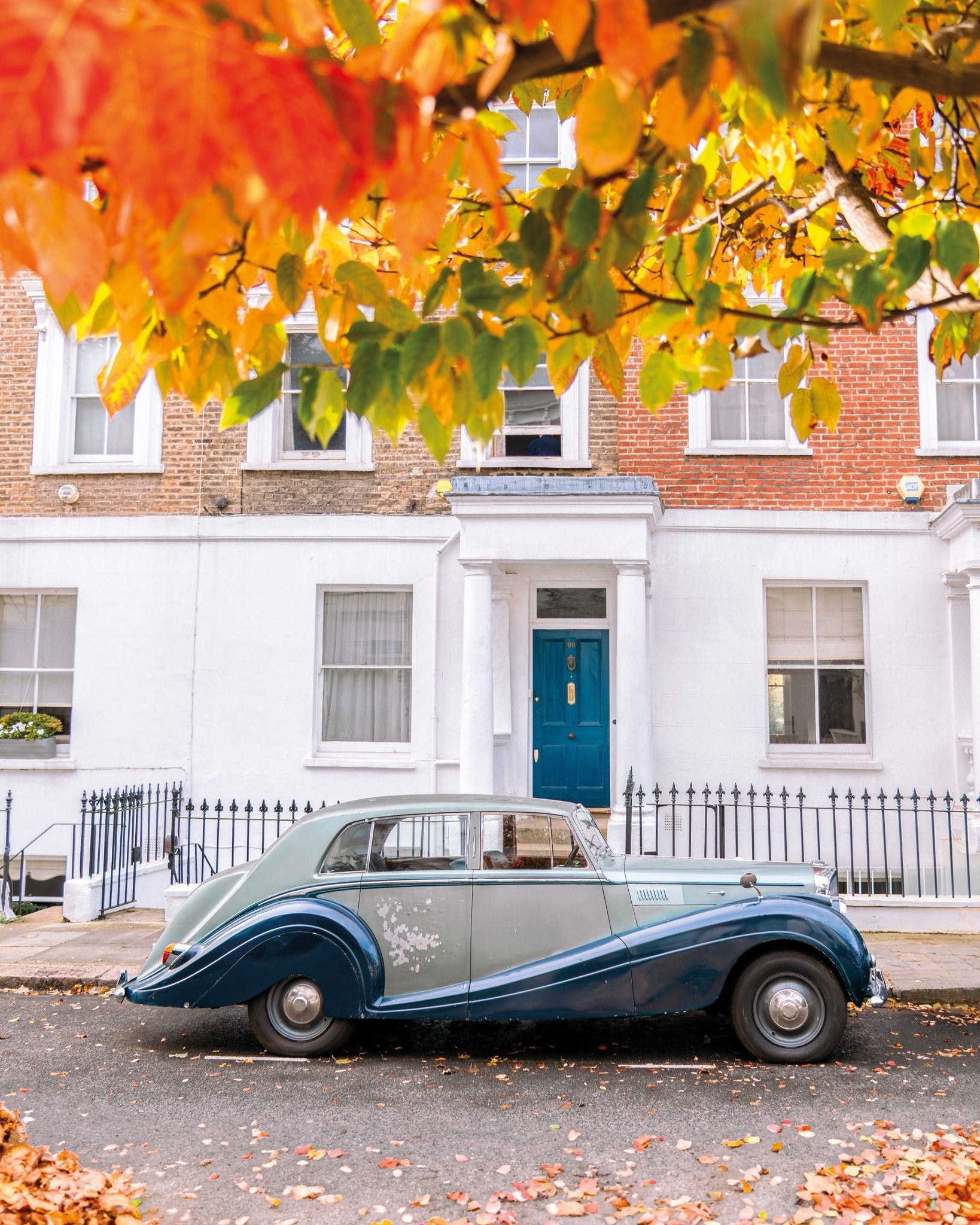 Vintage Fall