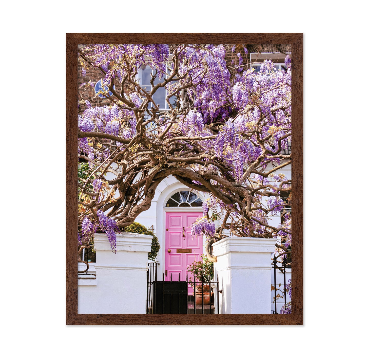 Wisteria Dreams