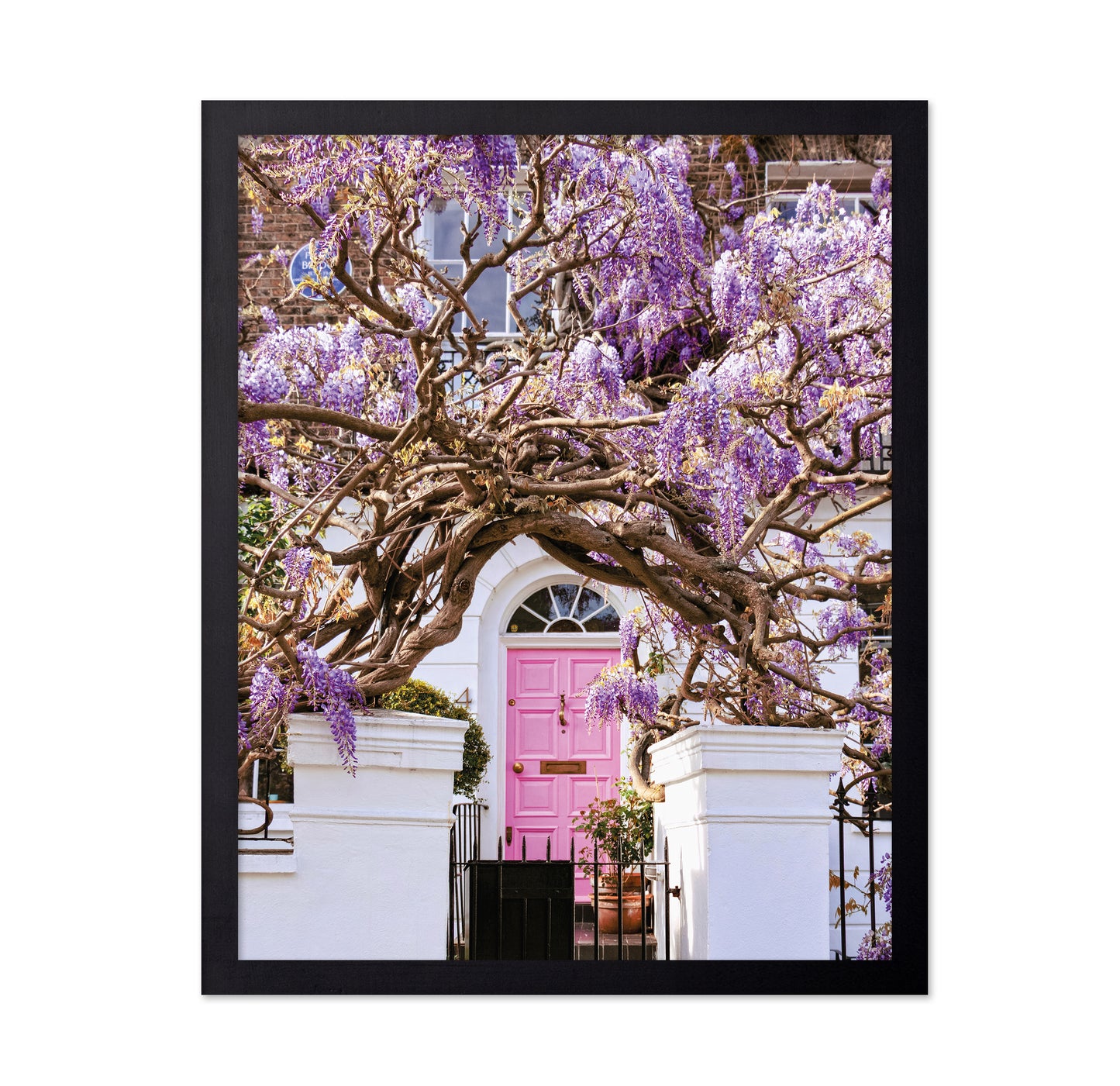 Wisteria Dreams
