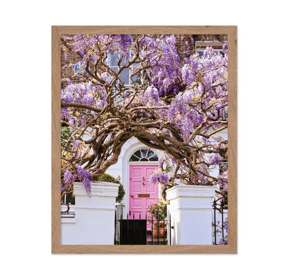 Wisteria Dreams