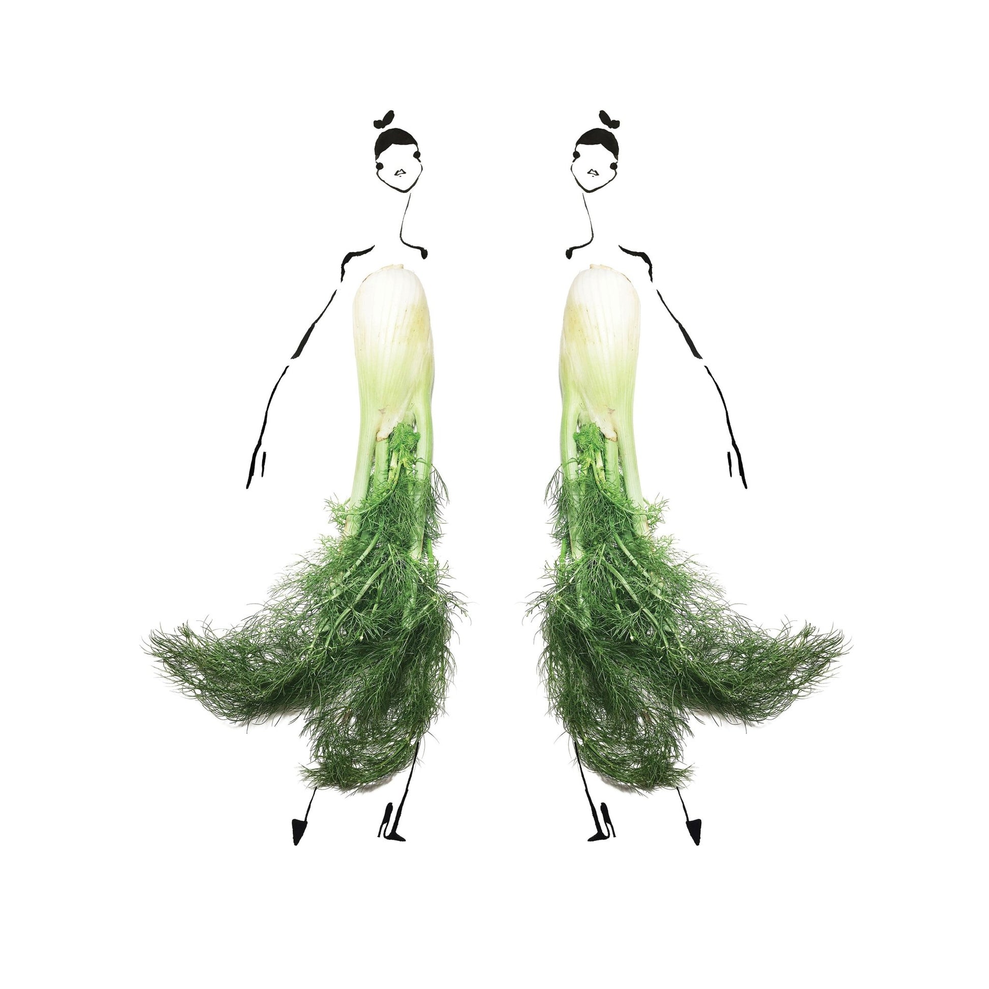 Fennel Duo