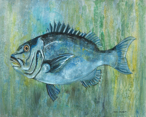Fish With Vibrant Blue Hues